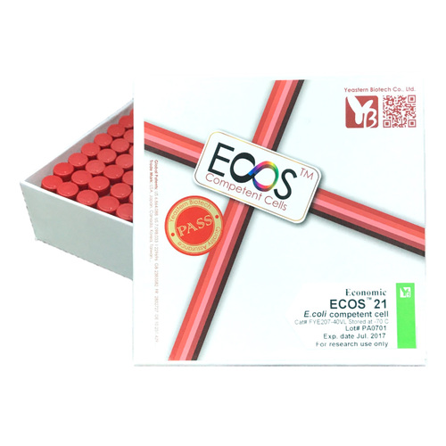 ECOS™ 21 Competent Cells, BL21(DE3)