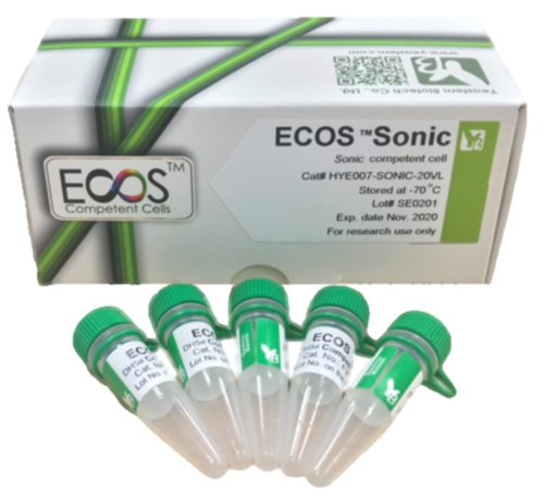 ECOS™ Sonic™ Competent Cells, [BL21(DE3) Derived]