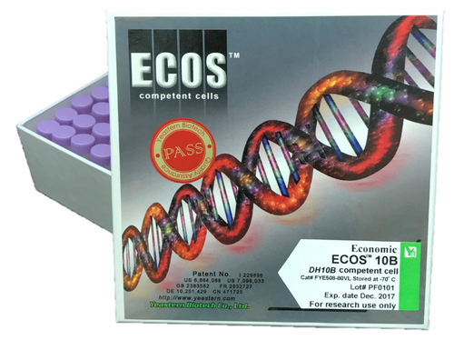 ECOS™ 10B Competent Cells, DH10B產品圖