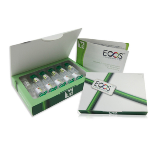 ECOS™ X Competent Cells, DH5α