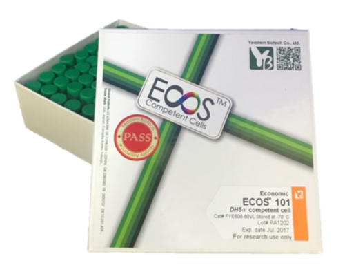 ECOS™ 101 Competent Cells, DH5α