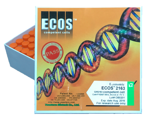 Expression DNA Extraction Products RNA Extraction Products ECOS™ 2163 Competent Cells, GM2163產品圖