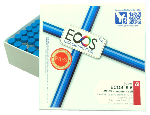 ECOS™ 9-5 Competent Cells, JM109產品圖