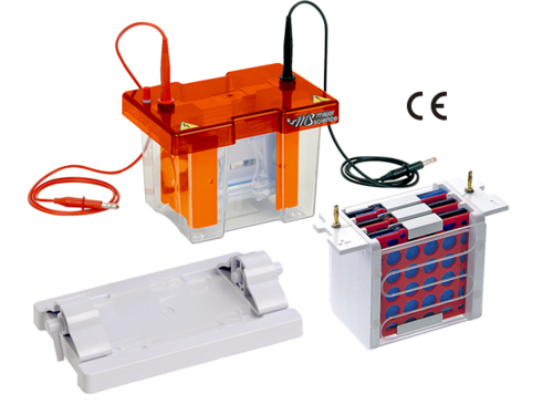 Complete Mini Electro Blot System, MV-10CBS  |PRODUCTS|Life Sciences Research|Electrophoresis and related products|Blotting