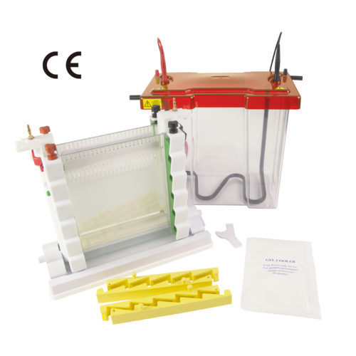 Maxi WAVE Vertical Electrophoresis System, MV-20WAVESYS  |PRODUCTS|Life Sciences Research|Electrophoresis and related products|Protein Electrophoresis