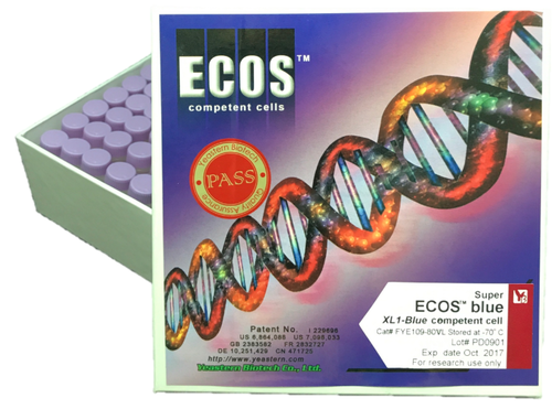 ECOS™ Blue Competent Cells, XL1-Blue產品圖