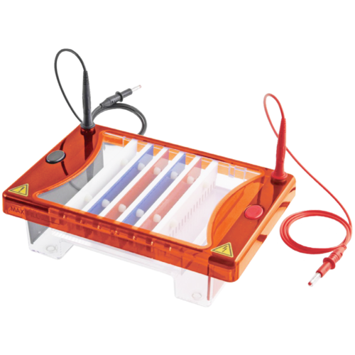 Midi plus-2 Horizontal Electrophoresis System, ME15-7-10-15  |PRODUCTS|Life Sciences Research|Electrophoresis and related products|Nucleic Acid Electrophoresis